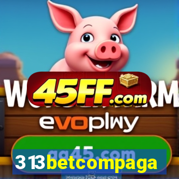 313betcompaga