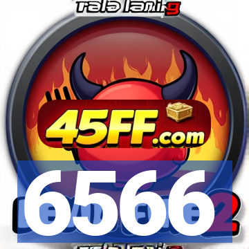 6566