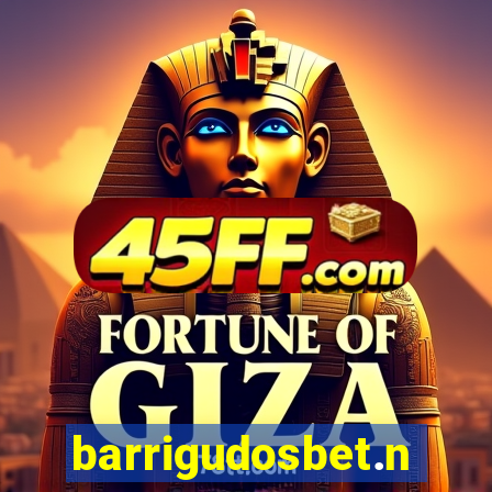 barrigudosbet.net