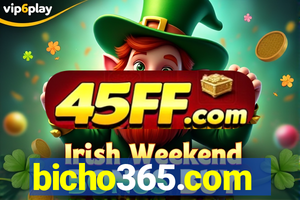 bicho365.com
