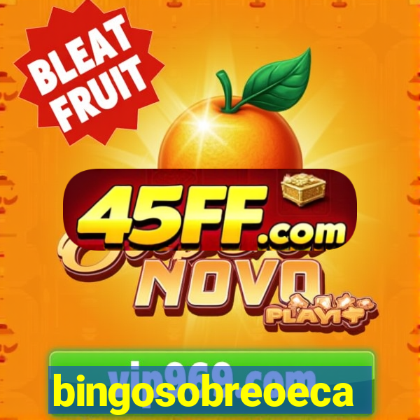 bingosobreoeca
