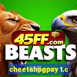 cheetahpgpay1.com