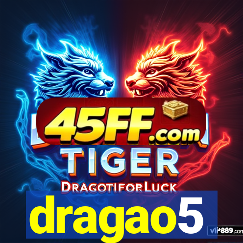 dragao5