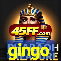 gingo