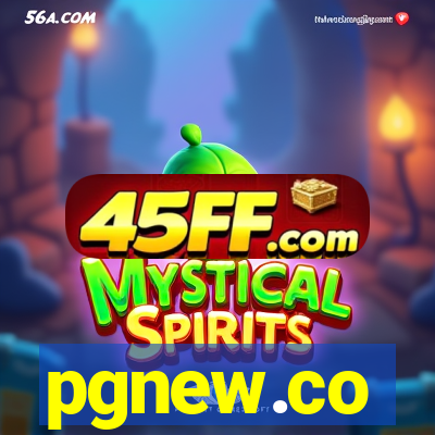 pgnew.co