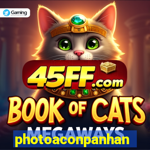 photoaconpanhante.