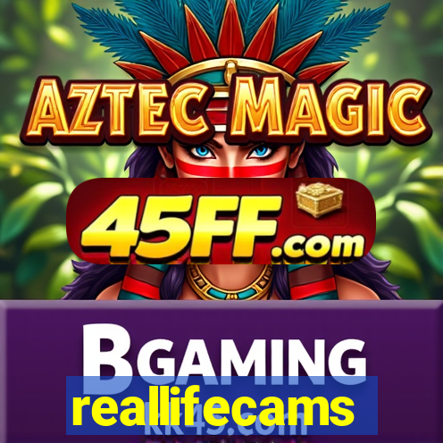 reallifecams