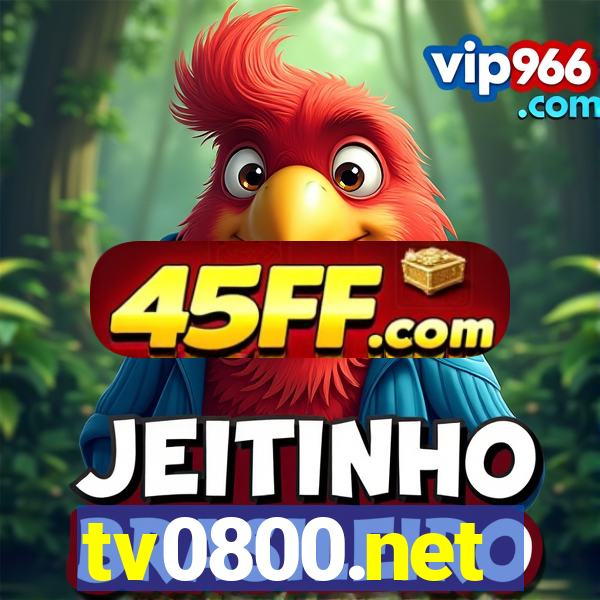 tv0800.net